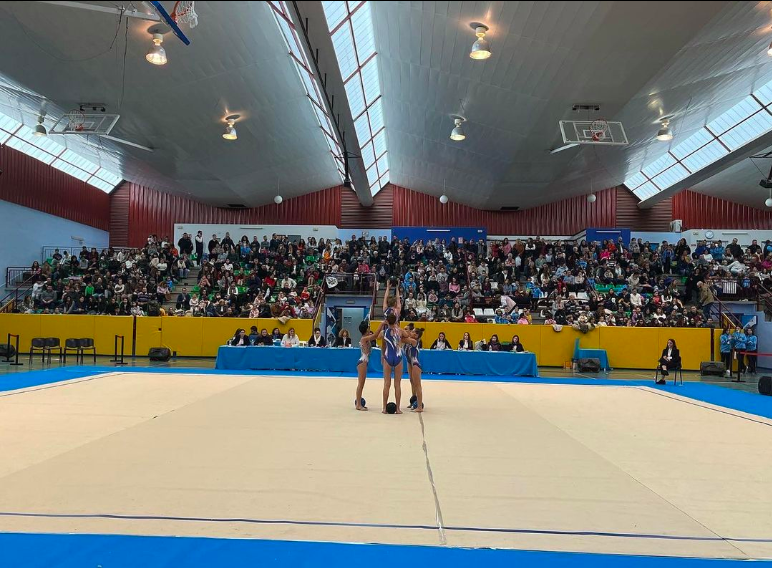 V Torneo Diputación de Córdoba de Gimnasia Rítmica